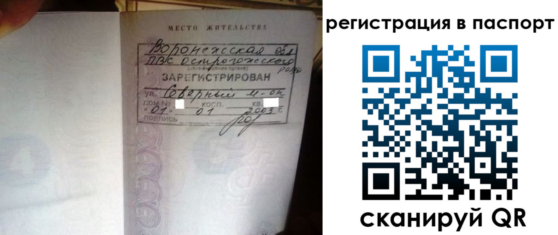 прописка для школы в Гатчине